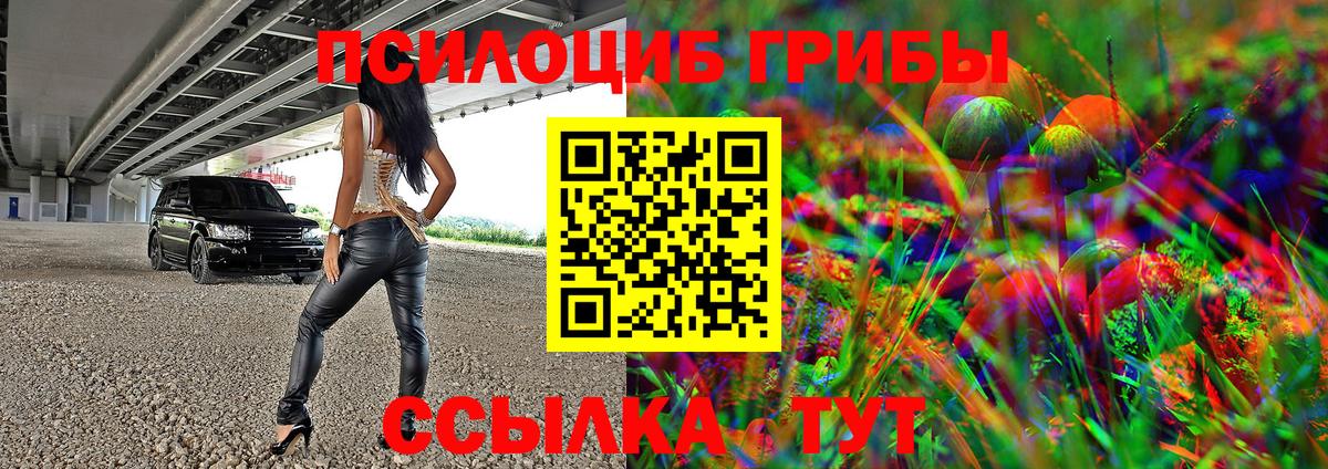 Галлюциногенные грибы прущие грибы Саяногорск
