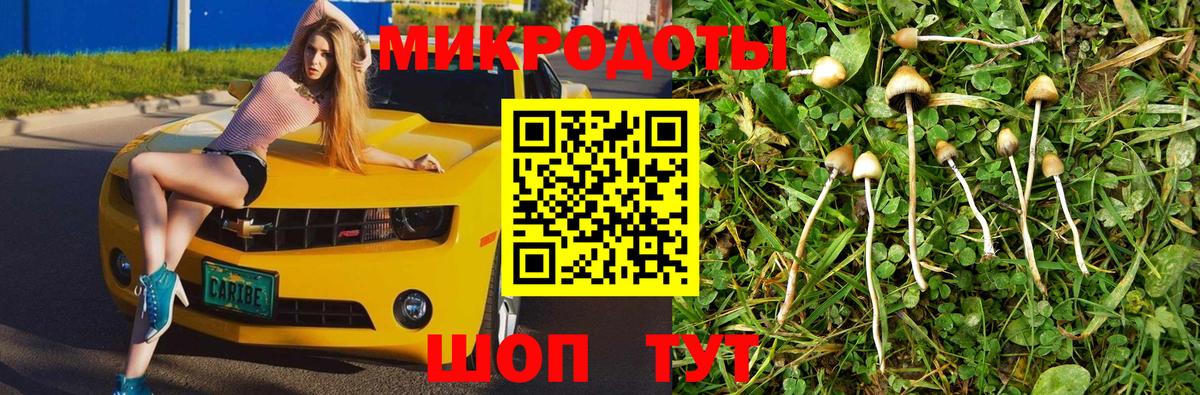 Галлюциногенные грибы мицелий  Псилоцибиновые грибы Magic Shrooms  Саяногорск  Вход с VPN 